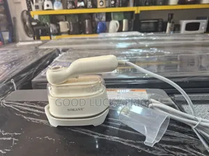 Hand Held Steamer