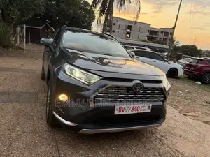 Toyota RAV4 2021 Gray