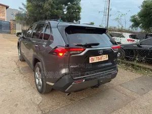 Toyota RAV4 2021 Gray