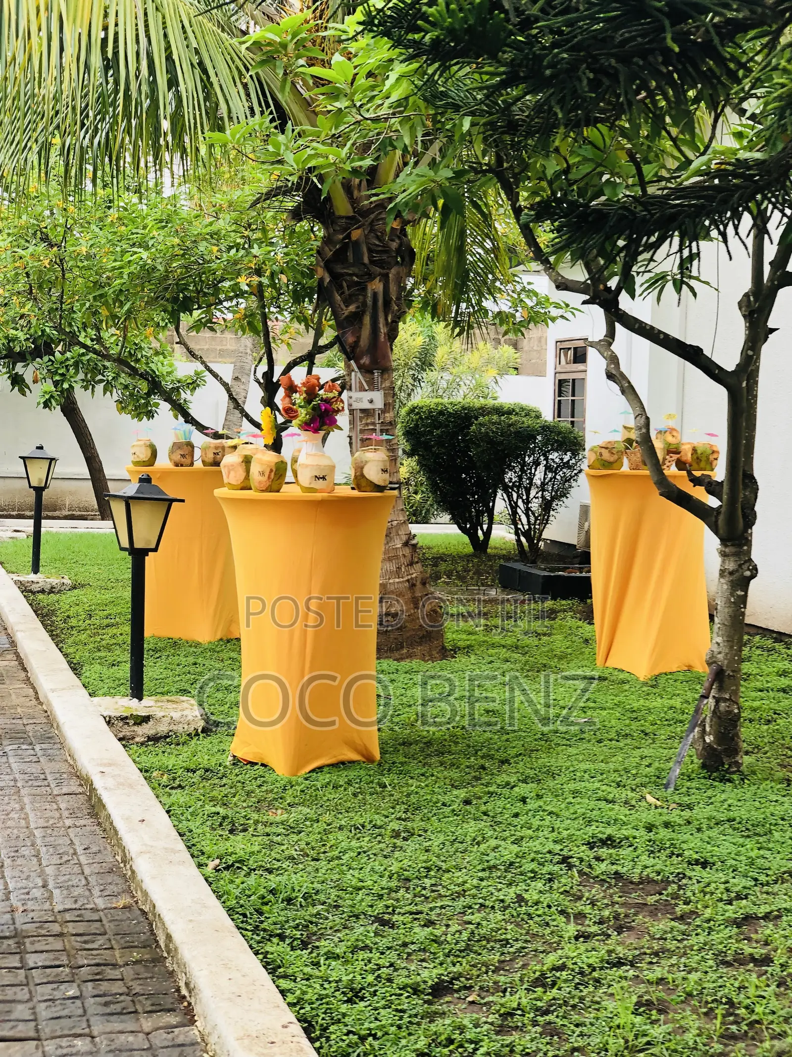 Premium Branded Fresh Coconuts