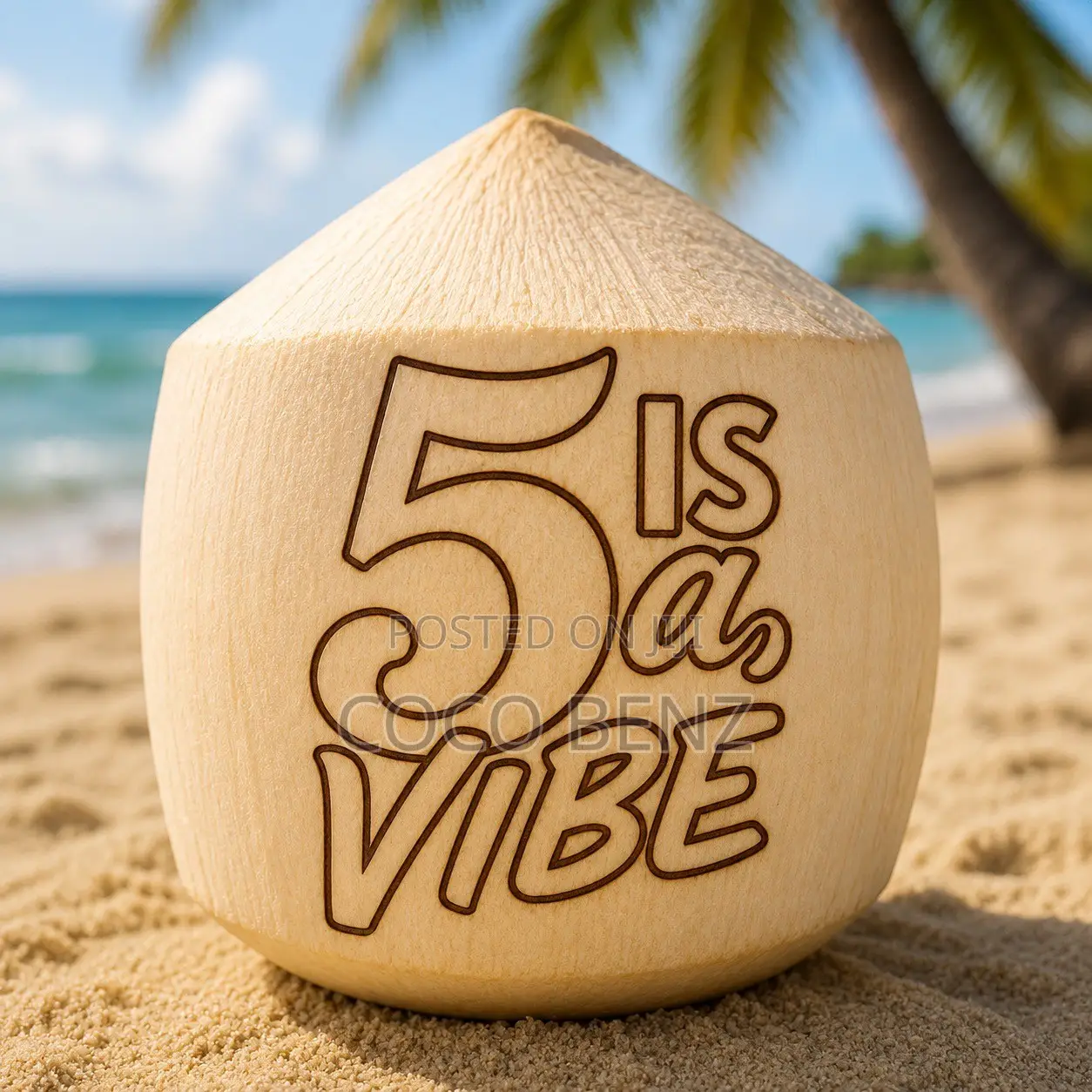 Premium Branded Fresh Coconuts