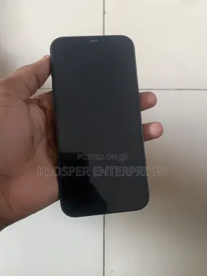 Apple iPhone 12 Pro Max 128 GB Blue