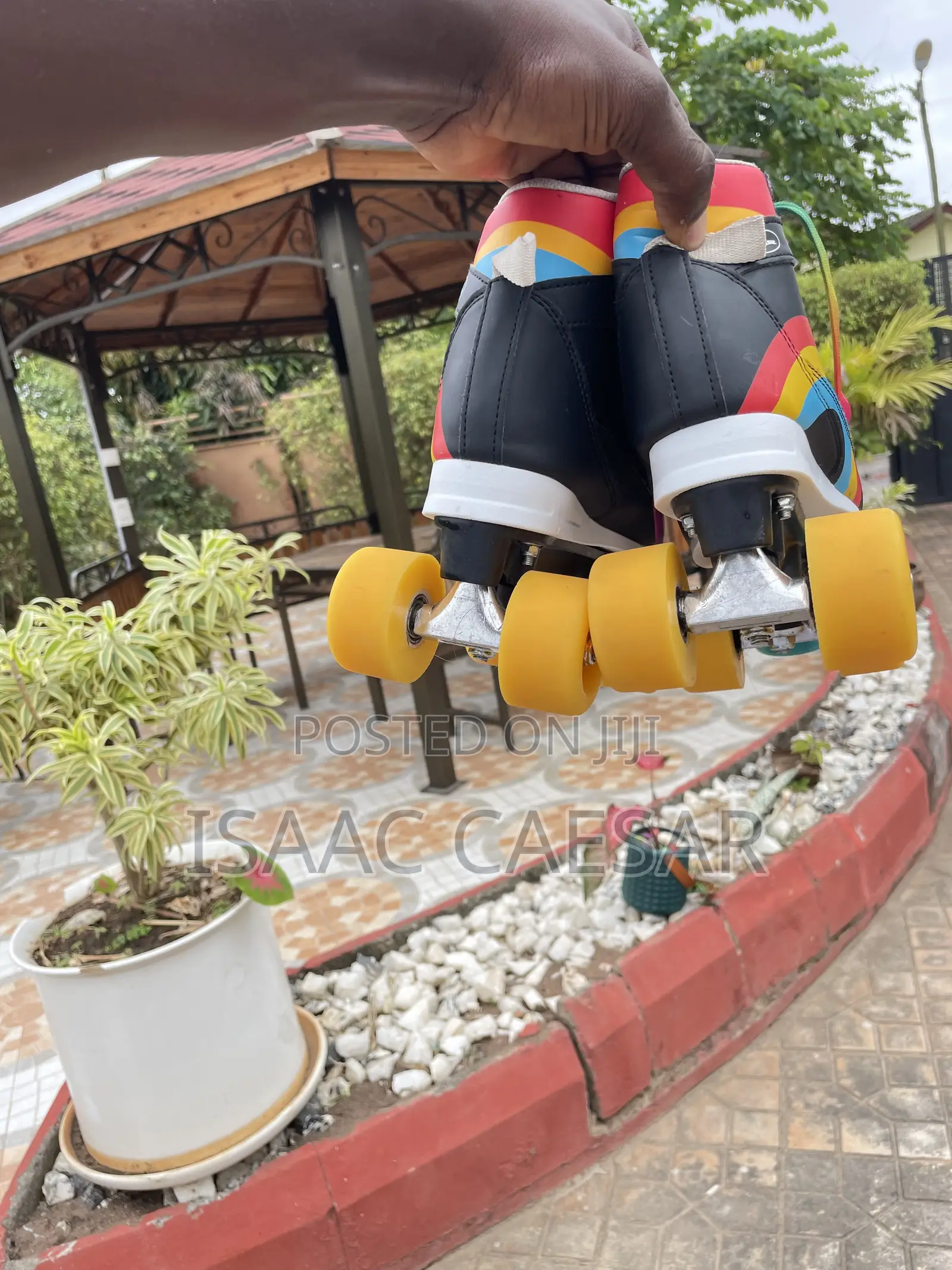 Skating Shoe
