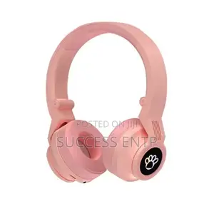 JST-31 Headphone