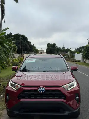 Toyota RAV4 XLE Premium AWD 2020 Burgundy