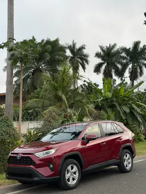 Toyota RAV4 XLE Premium AWD 2020 Burgundy