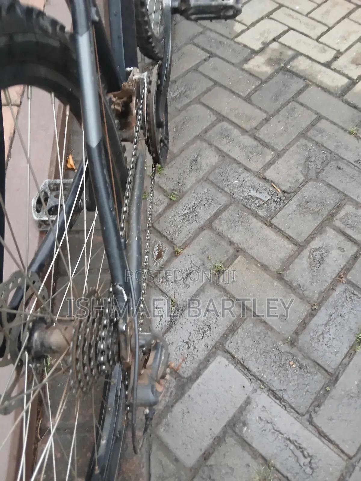Fluid Aluminium Bike