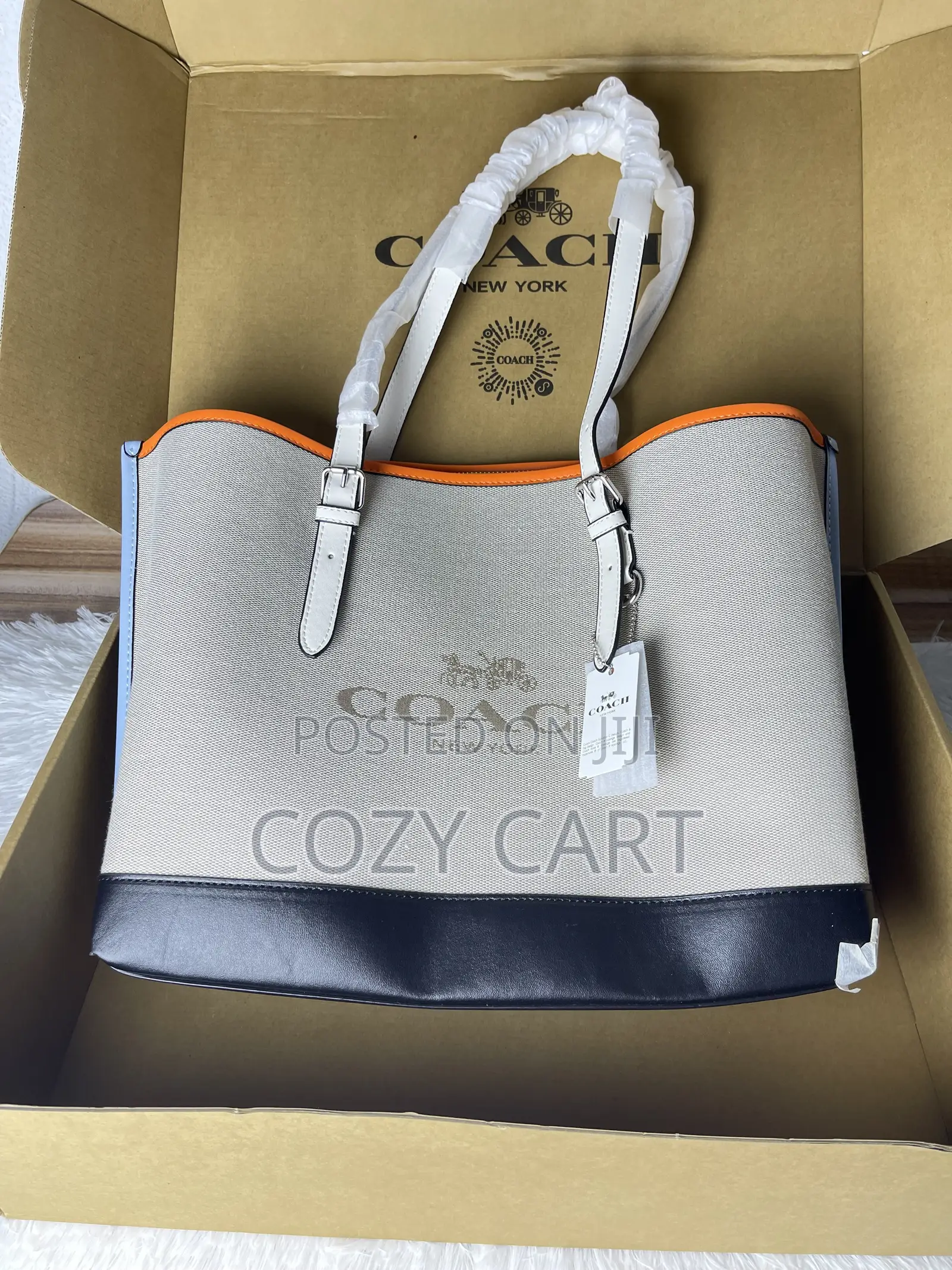 Coach Luxury Tote Bag