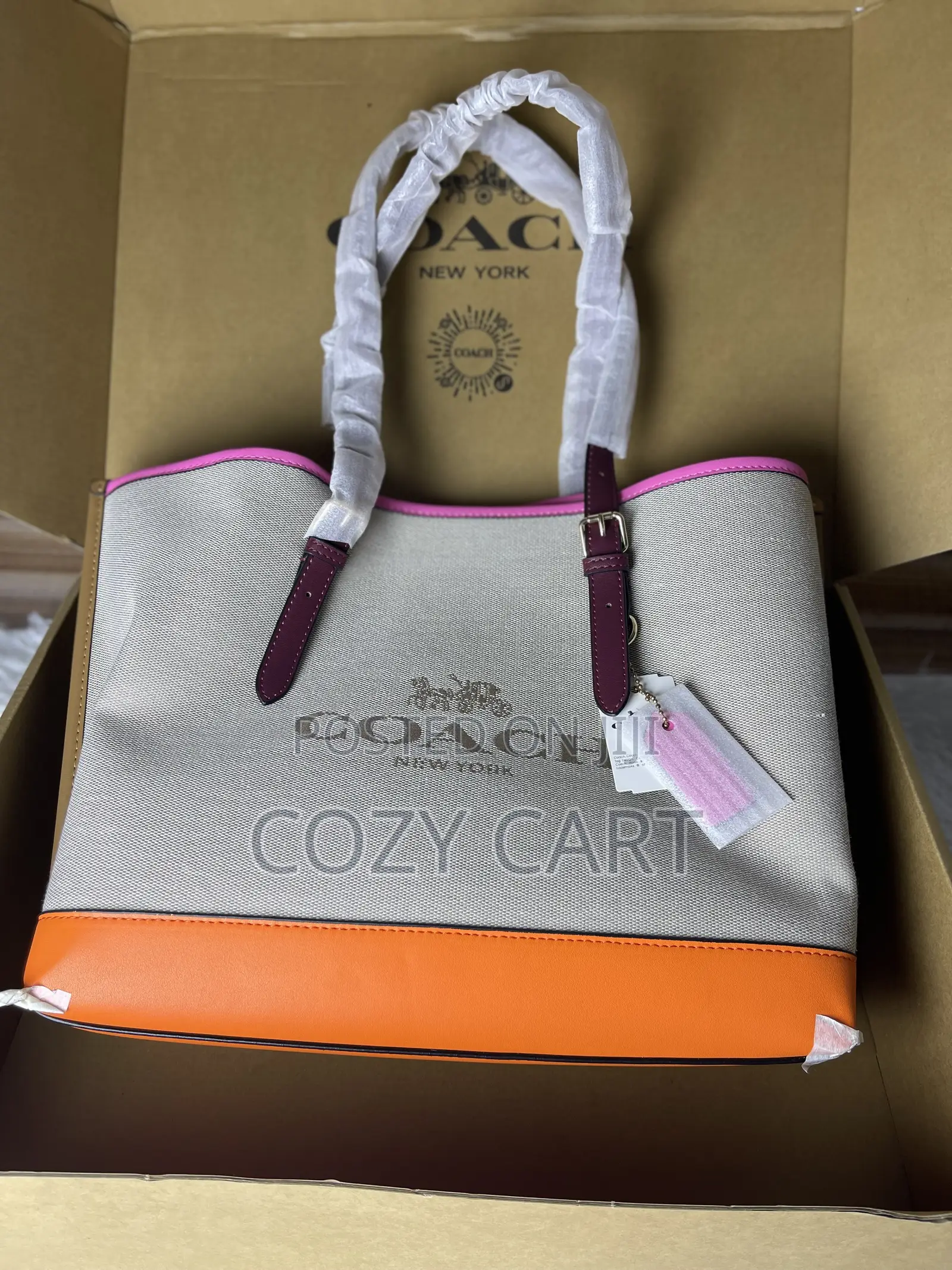 Coach Luxury Tote Bag