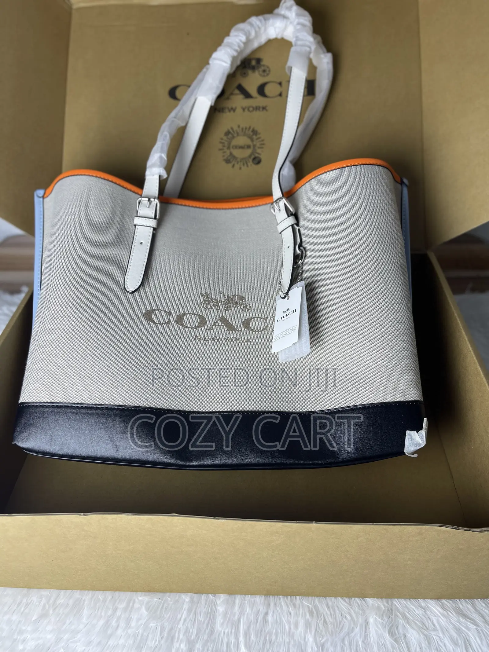 Coach Luxury Tote Bag