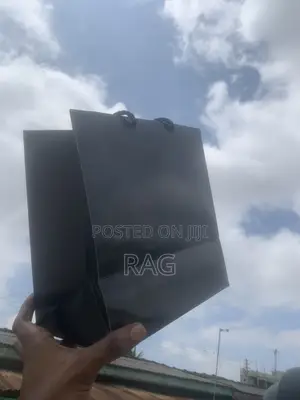 Plain Paper Bags