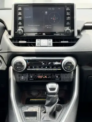 Toyota RAV4 Limited AWD 2019 Gray