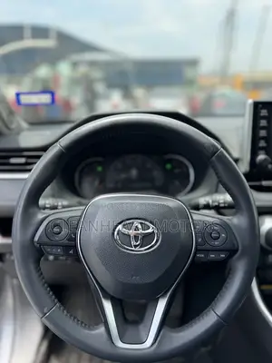 Toyota RAV4 Limited AWD 2019 Gray
