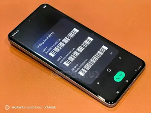 Vivo X200 Pro 1 TB Blue
