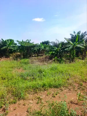 Litigation Free Land Available at Esaase- Bokankye
