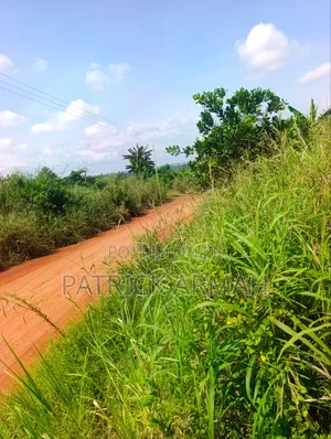 Litigation Free Land Available at Esaase- Bokankye