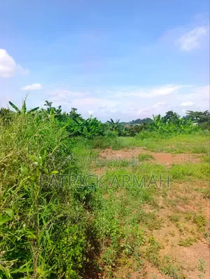 Litigation Free Land Available at Esaase- Bokankye