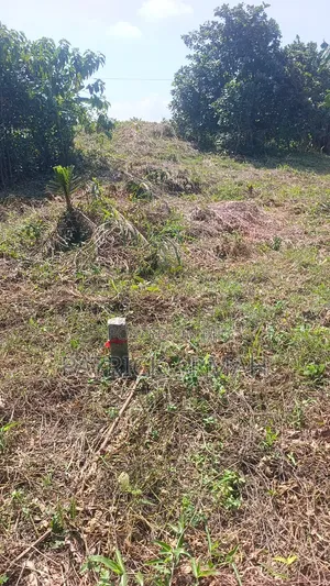 Litigation Free Land Available at Esaase- Bokankye