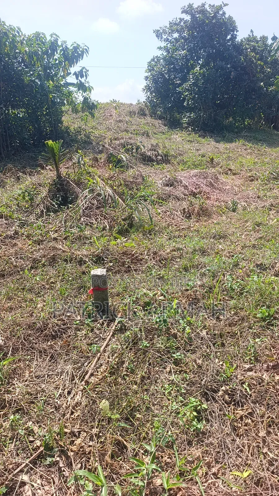 Litigation Free Land Available at Esaase- Bokankye