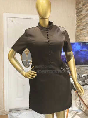 Elegant Office Wear Dress
