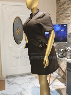 Elegant Office Wear Dress