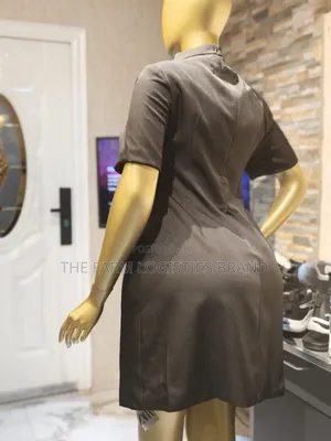 Elegant Office Wear Dress