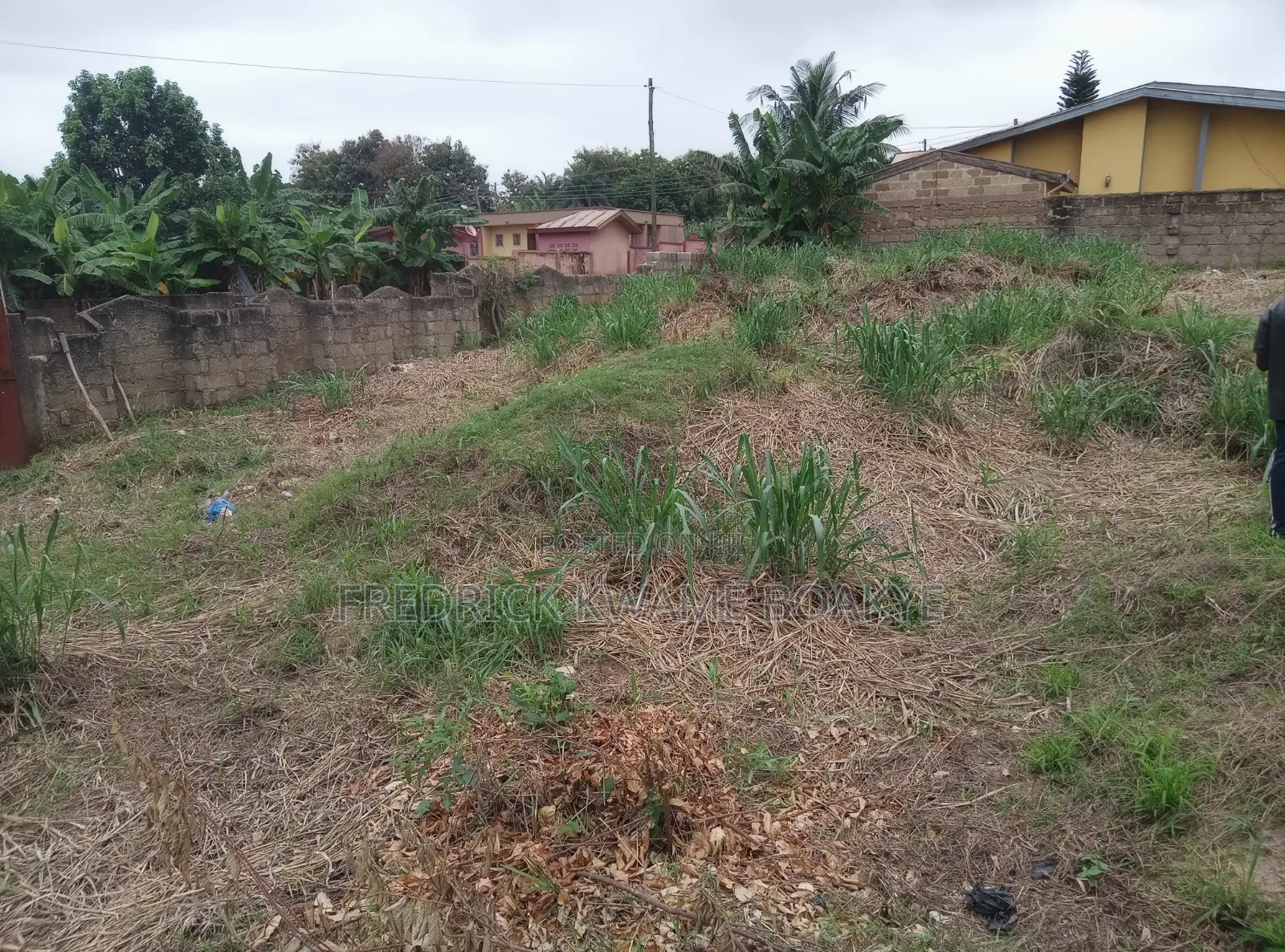 School Land for Sale at Ipt Nyankyereniase