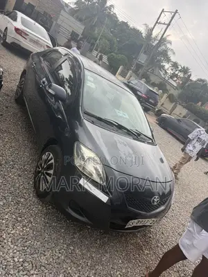 Toyota Belta 2010 Gray
