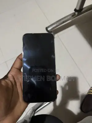 Apple iPhone 15 Pro Max 256 GB Silver