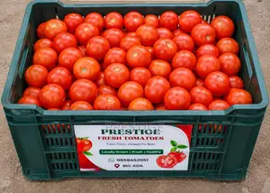 Fresh Tomatoes