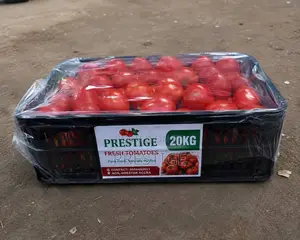 Fresh Tomatoes