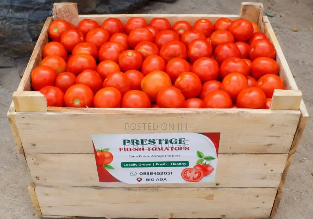 Fresh Tomatoes