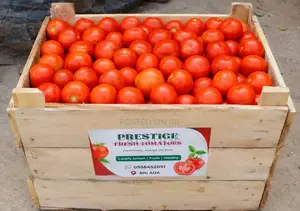 Fresh Tomatoes