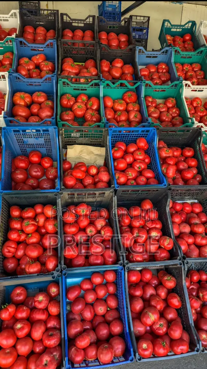 Fresh Tomatoes