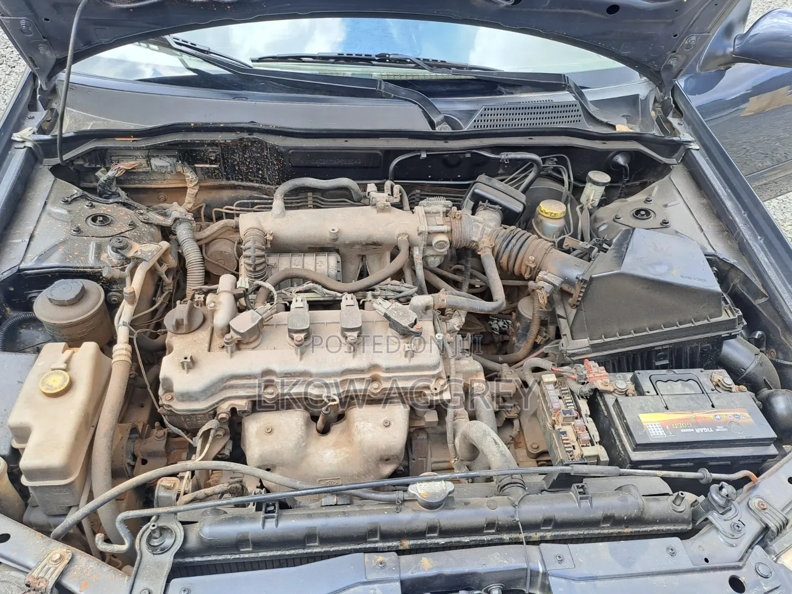 Nissan Sunny 2009 Gray