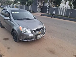 Chevrolet Aveo 2010 Gray