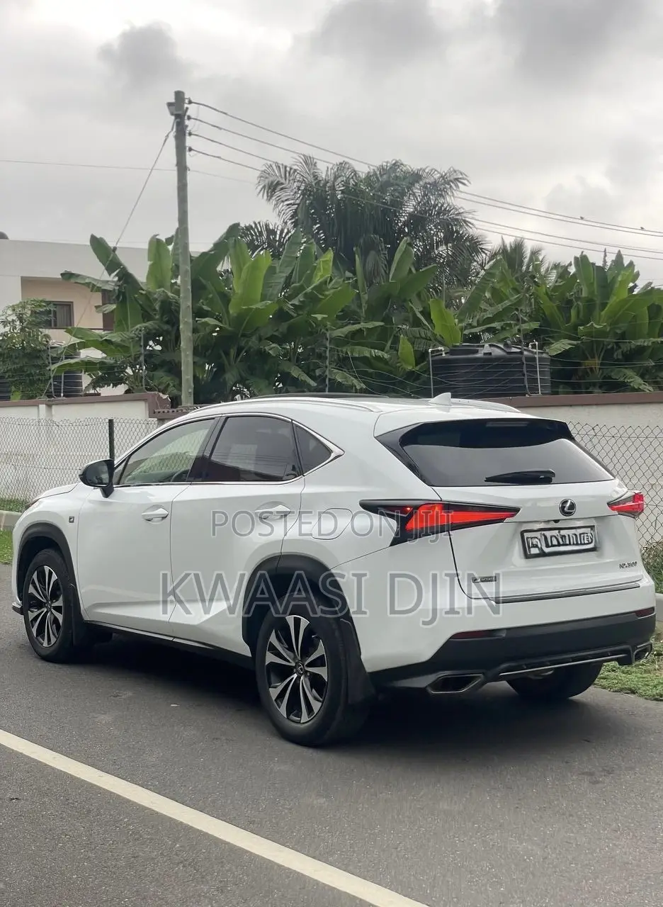 Lexus NX 2019 Red