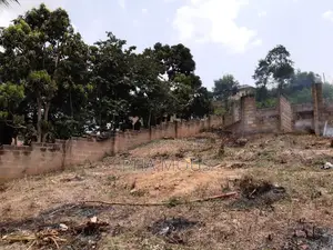 Two Plots of Land