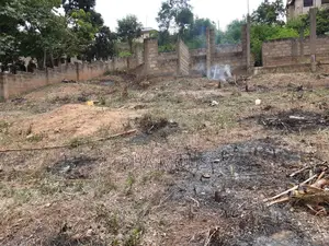 Two Plots of Land