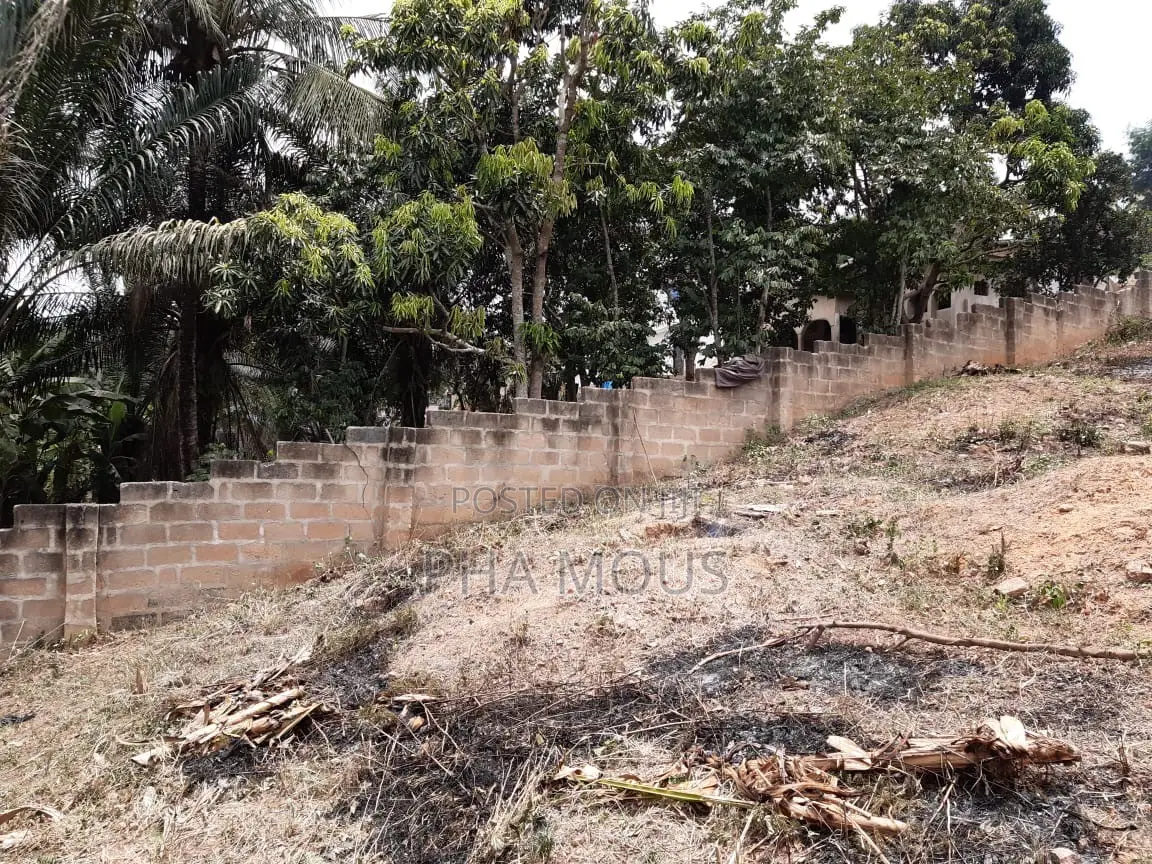 Two Plots of Land