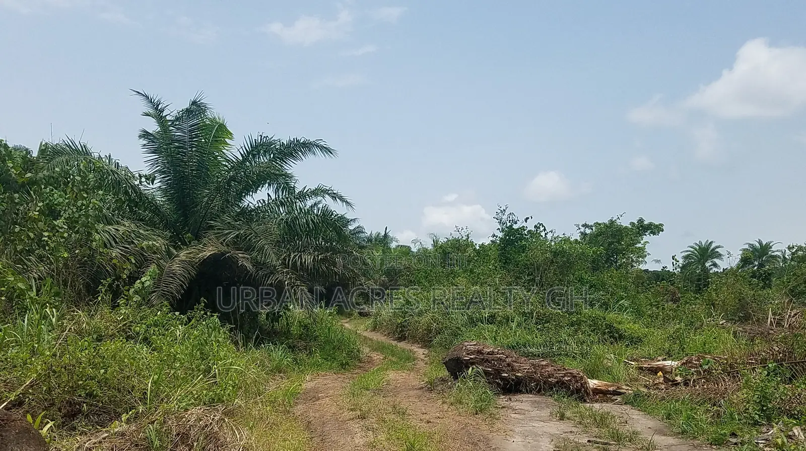 CENTRAL REGN, ELMINA (ATAABADZE) _ 60 Acres Farmland