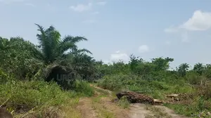 CENTRAL REGN, ELMINA (ATAABADZE) _ 60 Acres Farmland