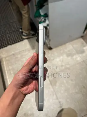Apple iPhone 17 Pro Max 512 GB Silver
