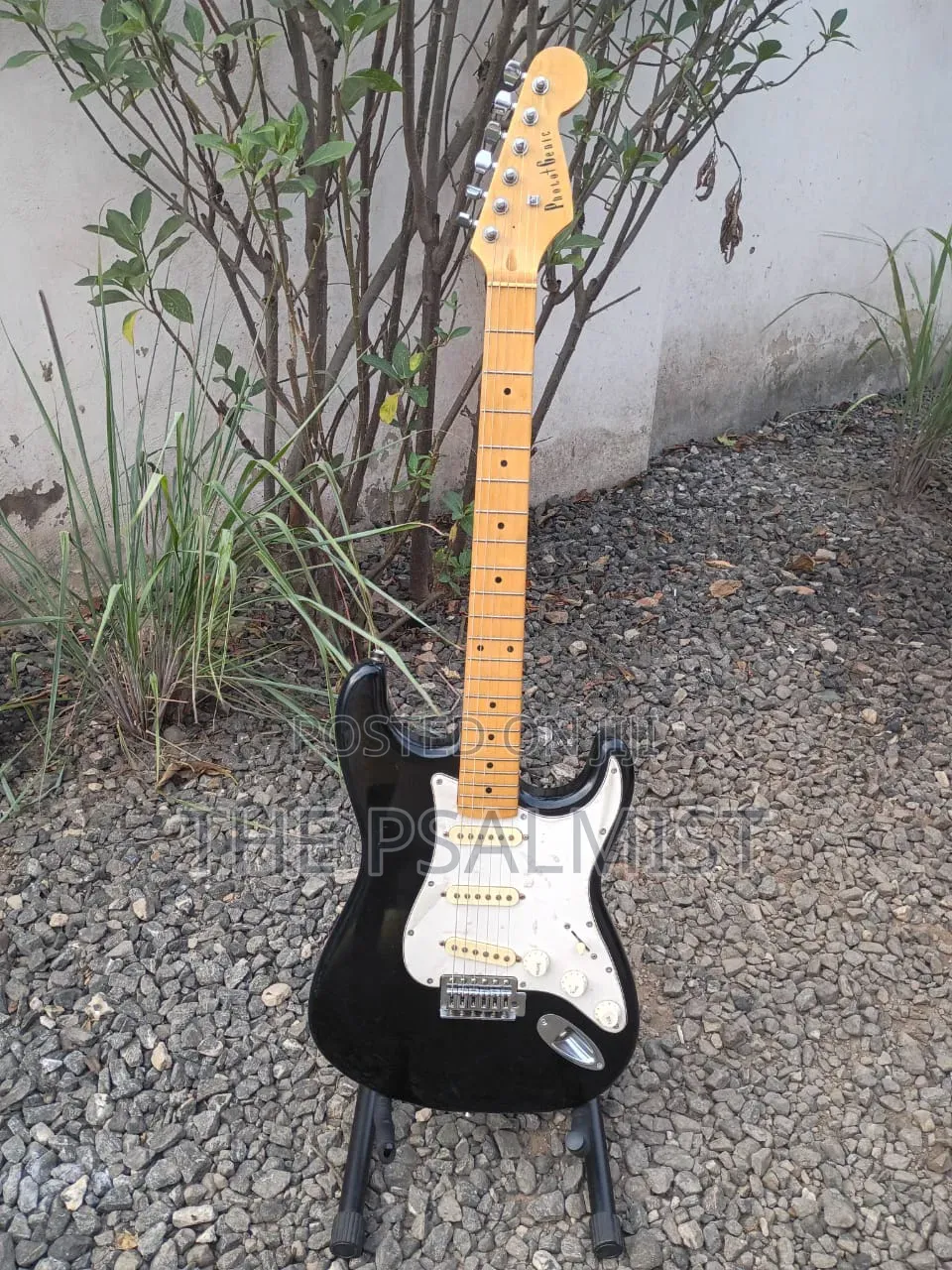 PhotoGenic Stractocaster Guitar