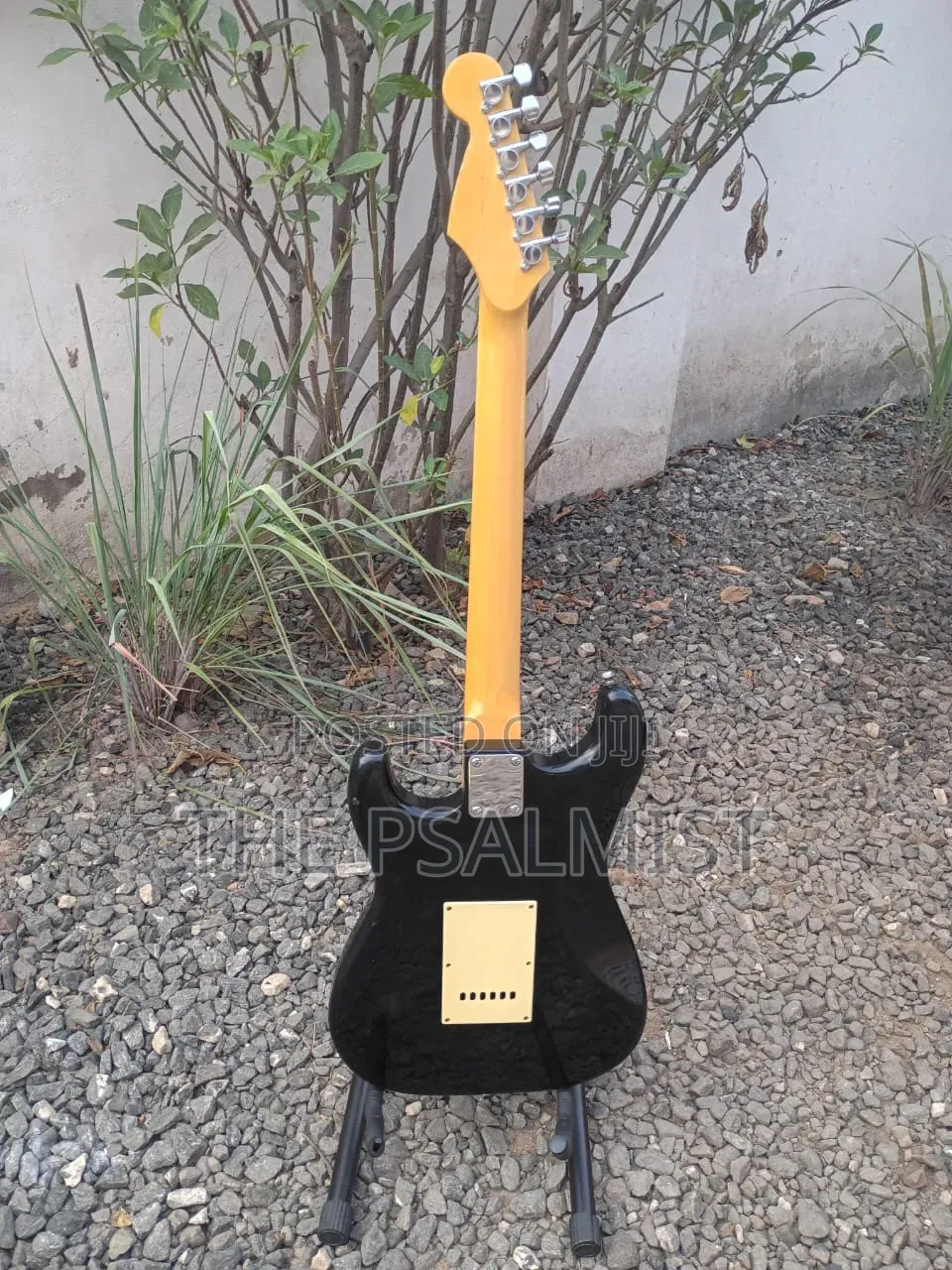 PhotoGenic Stractocaster Guitar