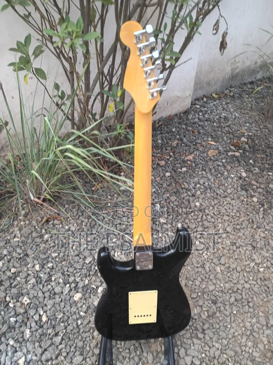 PhotoGenic Stractocaster Guitar