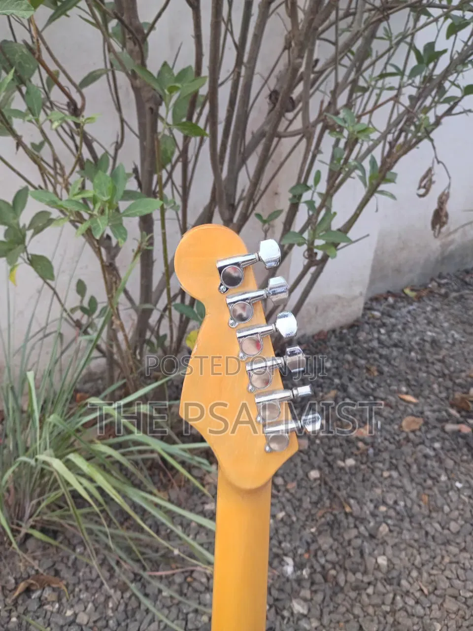 PhotoGenic Stractocaster Guitar