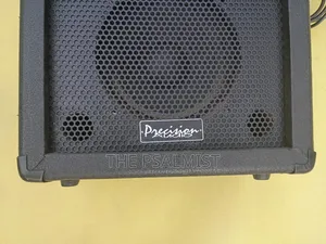 Precision Audio PA 40 Bass
