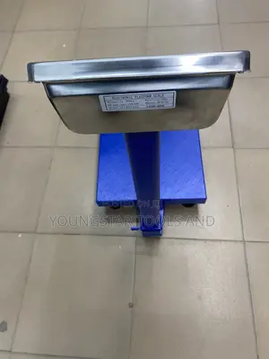 A Platform Scale 300KG