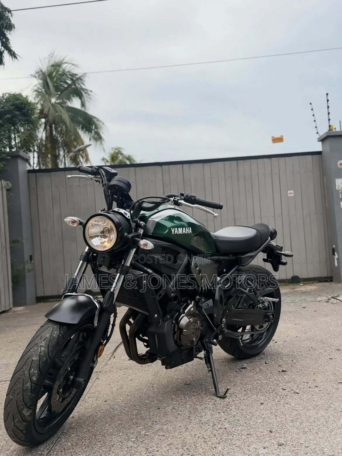 Yamaha XSR700 2022 Green